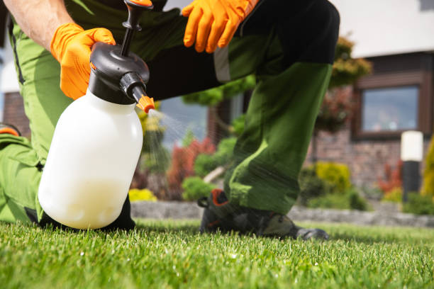 Best Termite Control Services  in Harrisonville, MO