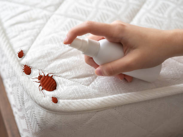 Pest Control Cost in Harrisonville, MO